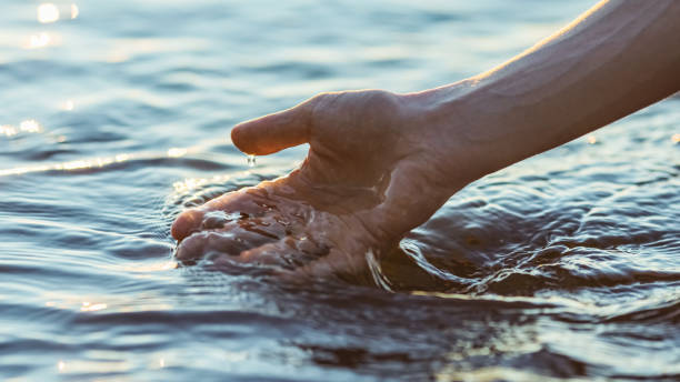 LA BIODYNAMISATION DE L'EAU
